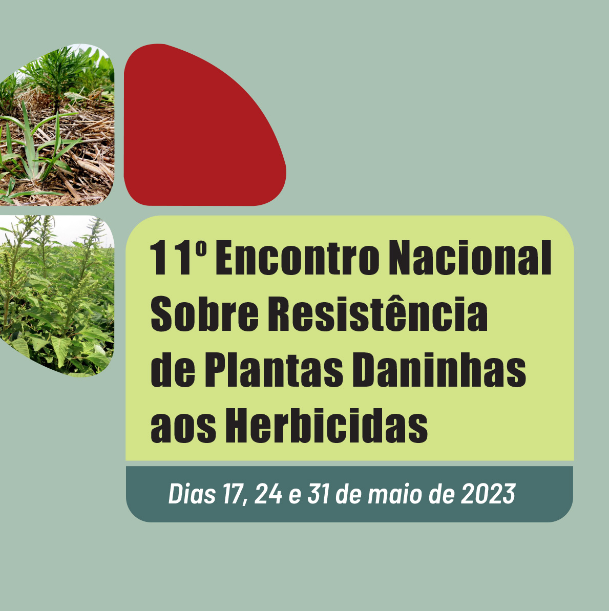 11º Encontro Nacional sobre Resistência de Plantas Daninhas aos Herbicidas