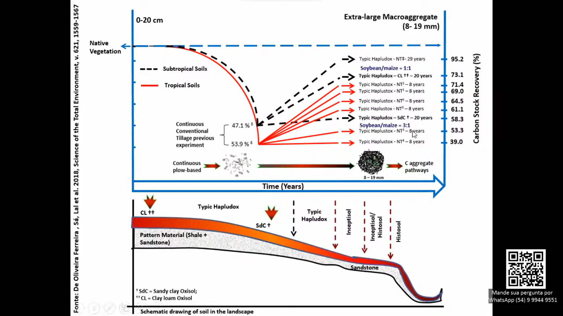 Estratégias de formação de palhada e matéria orgânica nos climas subtropical e tropical